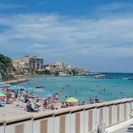 Relax 게스트하우스 3*